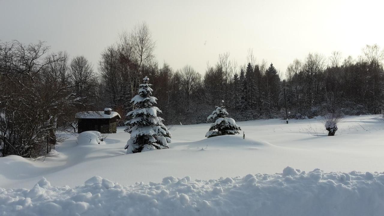 Apartmany Roudnice Jestrabi V Krkonosich ภายนอก รูปภาพ